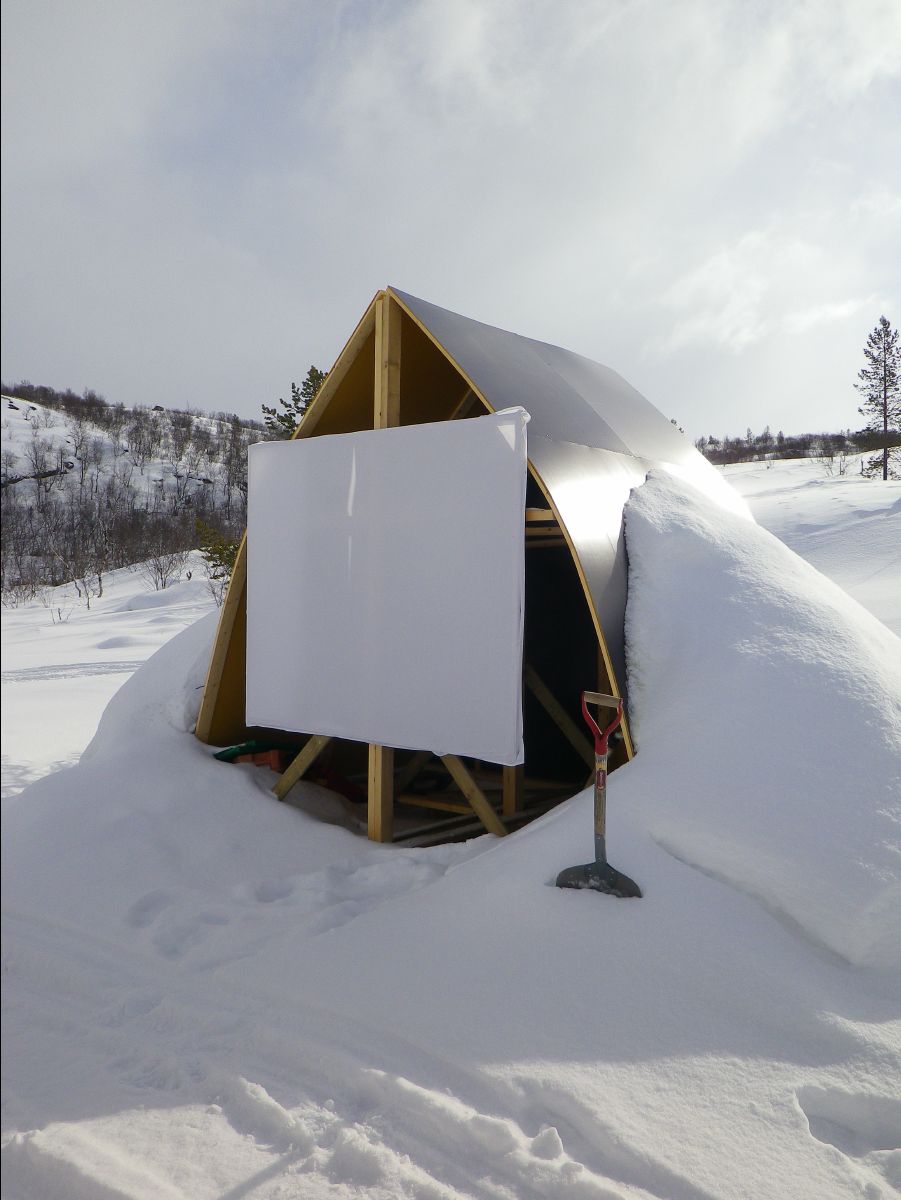 Dogs sledge58